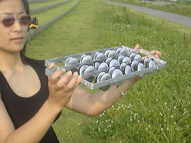 �V���J�[����